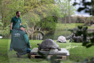 FEATURE - Invertar im Tierpark Hagenbeck in Hamburg
