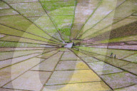 FEATURE - Dieses Reisfeld gleicht einem Spinnennetz