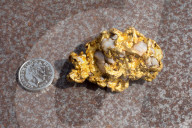 NEWS - Grossbritannien: Grösstes Goldnugget gehoben