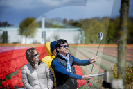 FEATURE - Tulpenblühen in den Niederlanden
