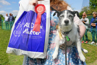 FEATURE - 'Great Hampstead Bark Off Dog Show' 2016 in London