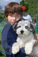FEATURE - 'Great Hampstead Bark Off Dog Show' 2016 in London