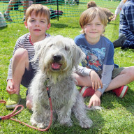 FEATURE - 'Great Hampstead Bark Off Dog Show' 2016 in London