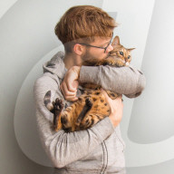 FEATURE - Katzen süchtig nach Catnip