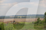 NEWS - Ukraine:  Kein Frieden im Donbass