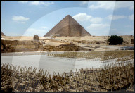 NEWS - Ägypten: Die Touristen bleiben fern