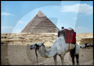 NEWS - Ägypten: Die Touristen bleiben fern