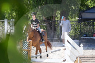 EXKLUSIV - Charlie Sheen trifft Denise Richards in Malibu