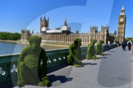 FEATURE - 'The Body Shop Bio-Bridges' Programm in London