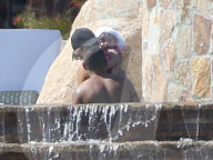 EXKLUSIV - Ashlee Simpson relaxt am Memorial Day am Pool in Mexico