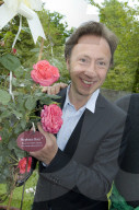 PRESENTATION DE LA ROSE STEPHANE BERN AU DOMAINE DE COURSON