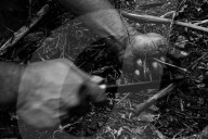 REPORTAGE - Philippinen: Die Opfer des Kidapawan Massakers