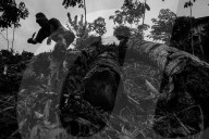 REPORTAGE - Philippinen: Die Opfer des Kidapawan Massakers