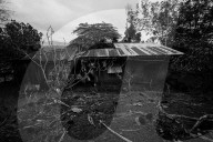 REPORTAGE - Philippinen: Die Opfer des Kidapawan Massakers