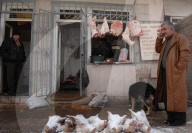 REPORTAGE - Bergkarabach von Polaris