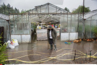 NEWS - Frankreich: Überschwemmungen nach heftigem Regen