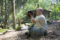 FEATURE - Knuffig dieser Fuchsnachwuchs von der Lüneburger Heide