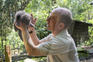 FEATURE - Knuffig dieser Fuchsnachwuchs von der Lüneburger Heide