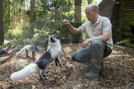 FEATURE - Knuffig dieser Fuchsnachwuchs von der Lüneburger Heide