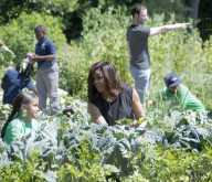 NEWS - Michelle Obama gärtnert mit Schulkindern