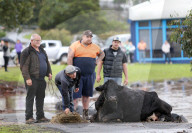 NEWS - Überschwemmungen in Australien