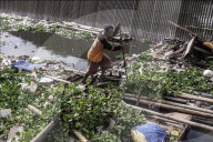 REPORTAGE - Indonesien: Wasserverschmutzung in Jakarta 