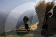 REPORTAGE - Bauern in Nepal