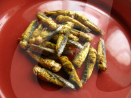 FEATURE - Insekten-Snacks