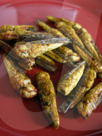 FEATURE - Insekten-Snacks