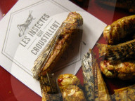 FEATURE - Insekten-Snacks