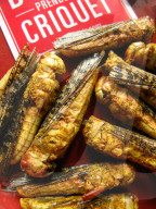 FEATURE - Insekten-Snacks