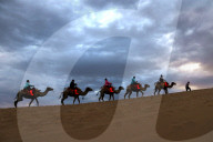FEATURE - Camel Safari in den Dünen von Dunhuang