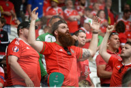 EURO 2016 - Wales gegen Slowakei
