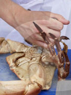 FEATURE - Leckereien am Swanage Fish Festival