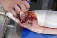 FEATURE - Leckereien am Swanage Fish Festival