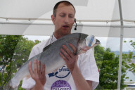 FEATURE - Leckereien am Swanage Fish Festival