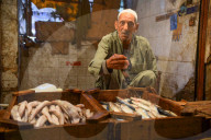 FEATURE - Argypten: Fischmarkt in Kairo