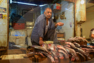 FEATURE - Argypten: Fischmarkt in Kairo