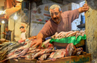 FEATURE - Argypten: Fischmarkt in Kairo