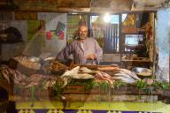 FEATURE - Argypten: Fischmarkt in Kairo