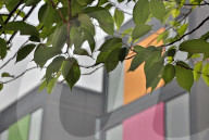 FEATURE - Britanniens erstes 'Pop-up Village'