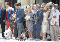 PEOPLE - Amanda Seyfried und Ed Helms bei Dreharbeiten zu 'The Clapper'