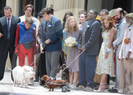 PEOPLE - Amanda Seyfried und Ed Helms bei Dreharbeiten zu 'The Clapper'