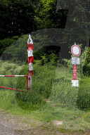 FEATURE - Bodypaint Suchbilder
