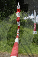 FEATURE - Bodypaint Suchbilder