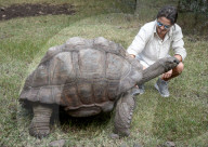 EXKLUSIV - Lindsay Lohan mit Egor Tarabasov auf Safari auf Mauritius 