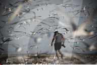 FEATURE - Vogelweltl in Bahrain