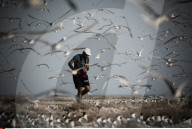 FEATURE - Vogelweltl in Bahrain