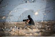 FEATURE - Vogelweltl in Bahrain