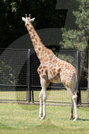 PEOPLE - Marcin Gortat zu Besuch im Zoo von Warschau